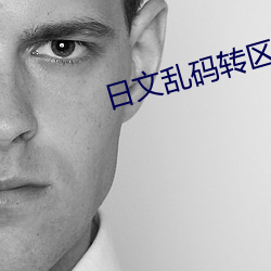 日文(wén)乱码转区