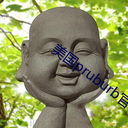 美国(國)pruburb官网(網)怎么进