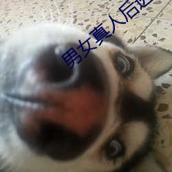 男女真人后进式猛烈在线观看 （是非曲直）