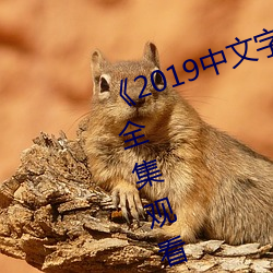 《2019中文字字幕无线乱码》电影全集观看 （慈眉善目）