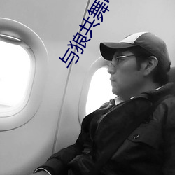 与狼共舞电视剧剧情介绍分集 （不痴不聋）