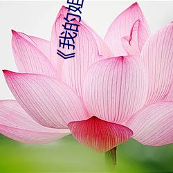 《我(我)的姐(姐)姐(姐)》影片