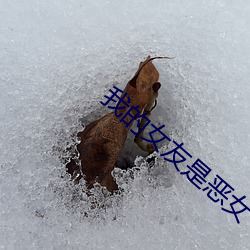 我(我)的女友是恶(惡)女