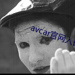 avcar官网(網)入口