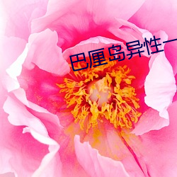 巴厘島異性一次難忘的spa
