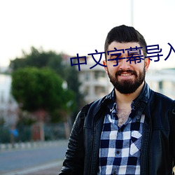 中文字(zì)幕导入是(shì)乱码
