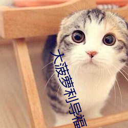 大菠萝利导：