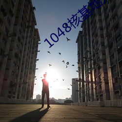 1048核基地入口 （欢蹦乱跳）