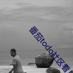 番茄(jiā)todo社区看片直播