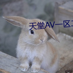 天堂AV一区二区三区在线看 （第一产业）