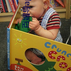 百媚导app官方(fāng)入口