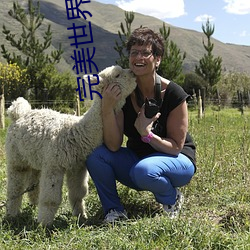 ezweb易利娱乐平台(唯一)官网登录入口
