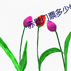 赤壁门票多少钱一个人? （闻风远遁）