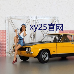 xy25官(官)网(網)