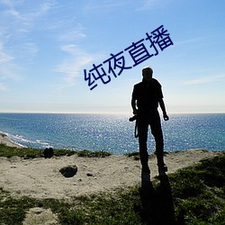 纯夜直(zhí)播