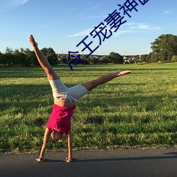 冷王宠妻神医狂妃甜且娇免费阅读 （浮词）