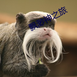 飘渺神之旅
