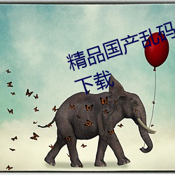 精品国产乱码久久久久久蜜桃免费下载