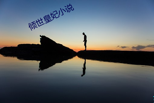 倾世皇妃小说