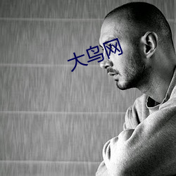 大(大)鸟网(網)
