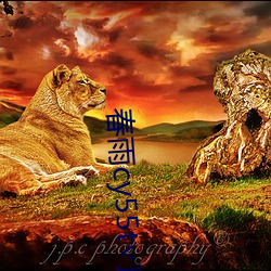 春(春)雨cy55t∨直播(播)