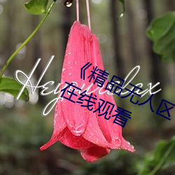 《精品無人區一區二區三區》 完整版在線觀看