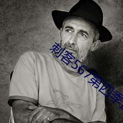 刺(cì)客567第四(sì)季(jì)正版免费观看