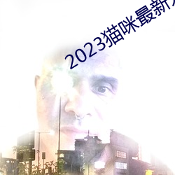 2023猫咪最新永久地域