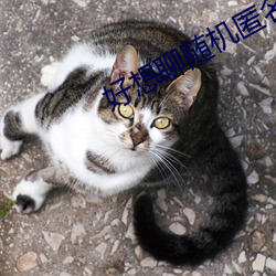 尊龙凯时-人生就是搏!