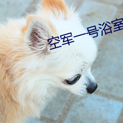 空軍一號浴室