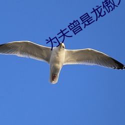 为夫曾是龙傲天