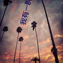 93343大红鹰69111