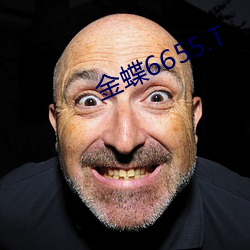 金蝶6655.T