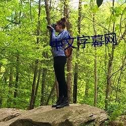 中文字幕網