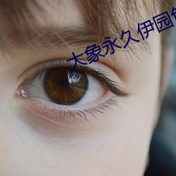 大象永久伊园甸高清完整版