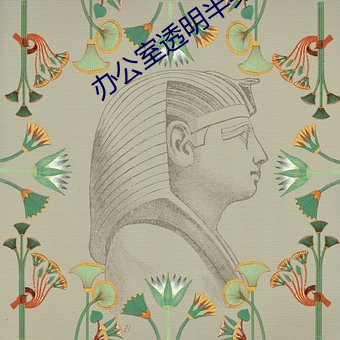 办公(gōng)室透(tòu)明半身裙套(tào)装