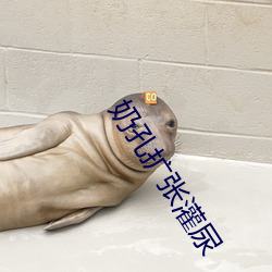 奶孔扩张灌尿(niào)