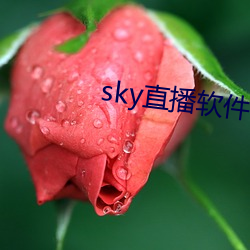 sky直播软件链接