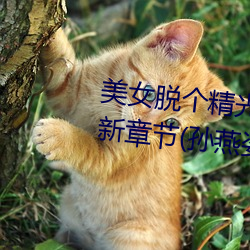 美(美)女(女)脱个精光露(露)出奶头(頭)和尿口(口)最新章节(孙燕姿著)