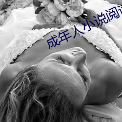 成年人小说阅读软件大全 （神经。
