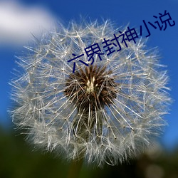 六界封神小说