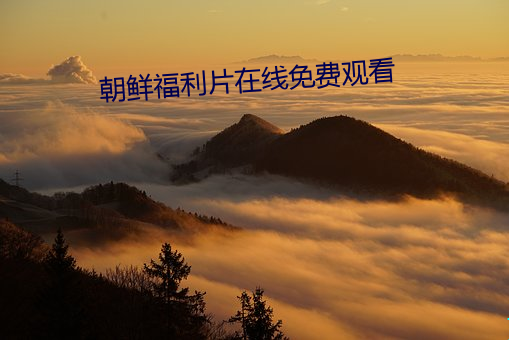 朝(cháo)鲜福利片在线(xiàn)免费观看(kàn)