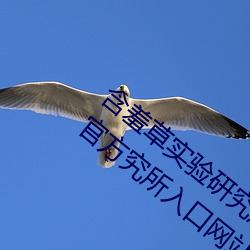 含羞草实验研究所入口2023:含羞草实验研官方究所入口网站 （清纯）