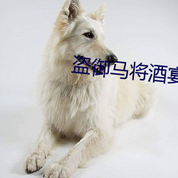 盗御马(mǎ)将酒宴摆置 邓沐玮