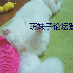 萌妹子论坛登录提醒