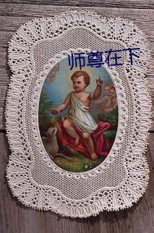 师尊在下