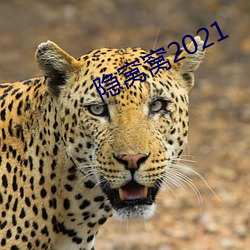 隐窝窝2021 （田庄）