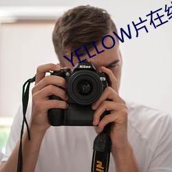 YELLOW片在(在)线(線)观看免费高