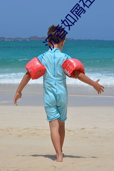 沉香如屑在线观看全集免费