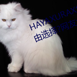 HAYAXURAX免费所有内容可以自由选择?网友:还全都是精品!